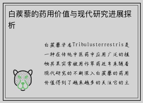 白蒺藜的药用价值与现代研究进展探析